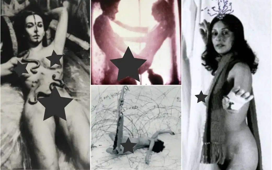 carolee schneemann