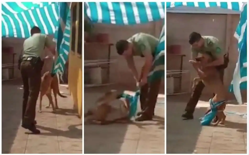 poliziotto libera cane