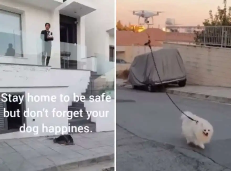 portare il cane a spasso con il drone