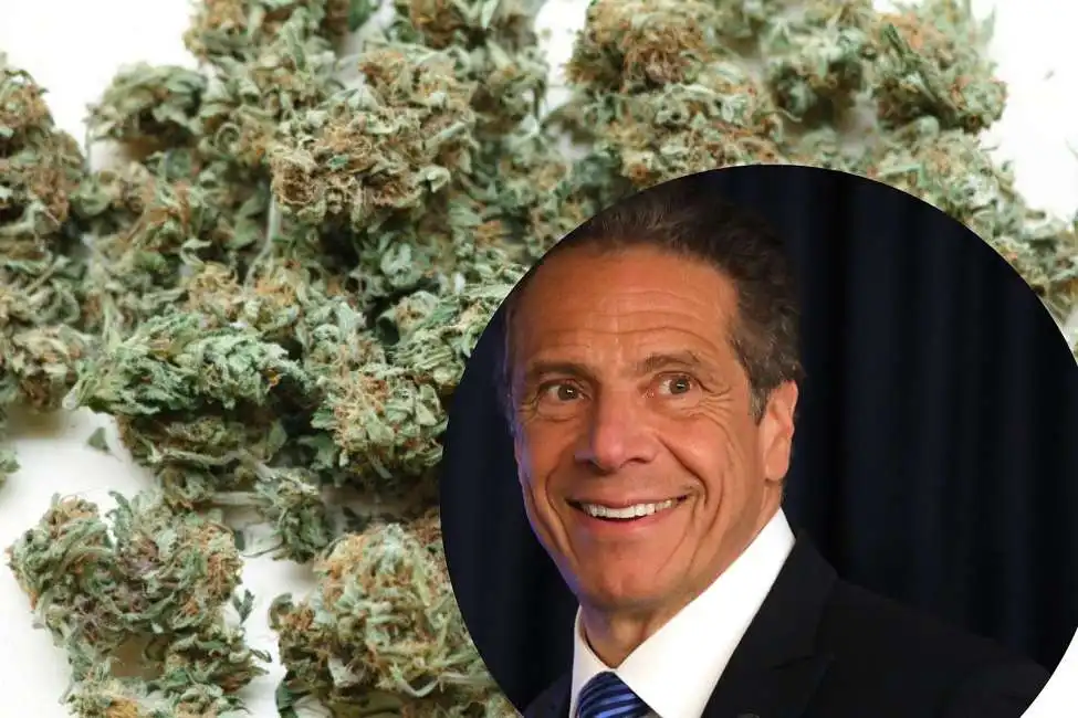 cuomo legalizza la marijuana nello stato di new york