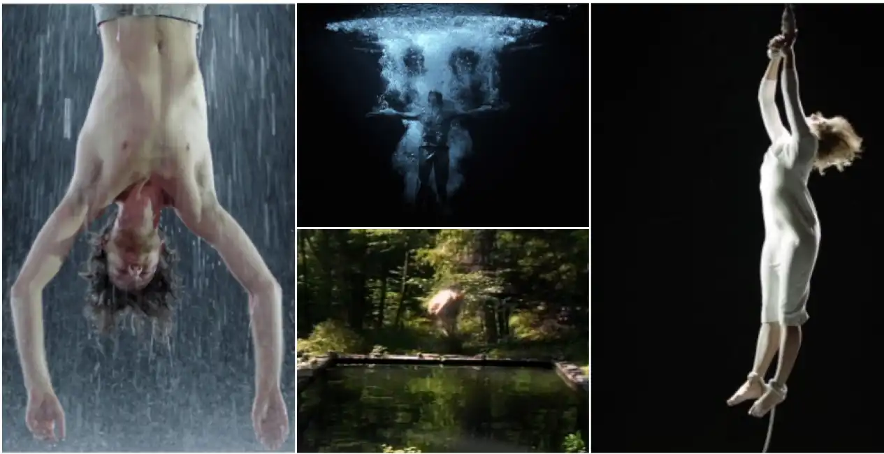 bill viola