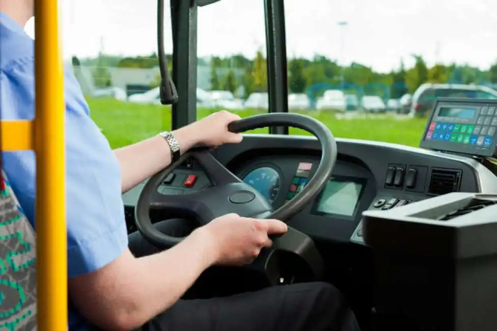 conducente autobus