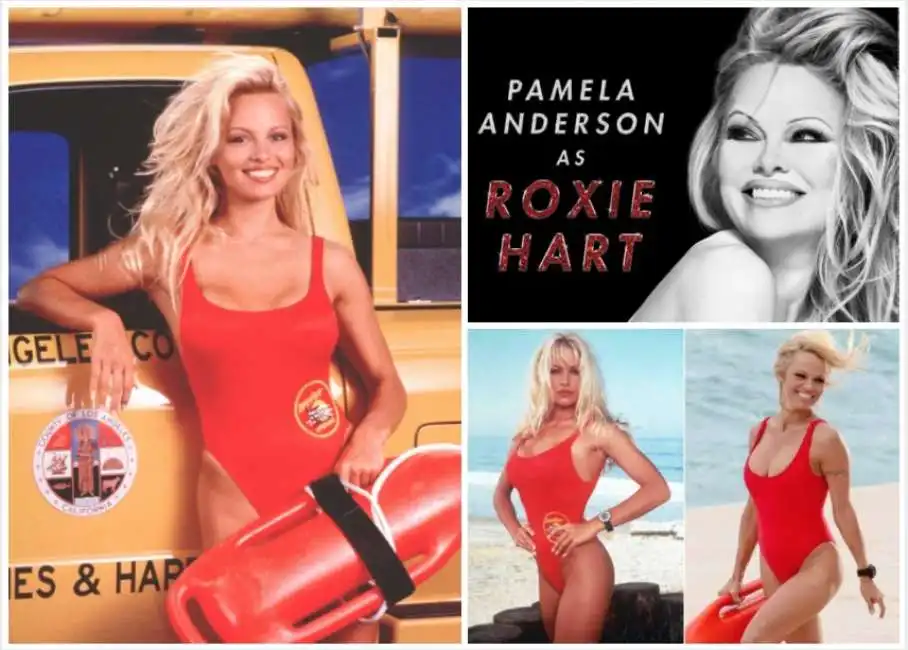 pamela anderson