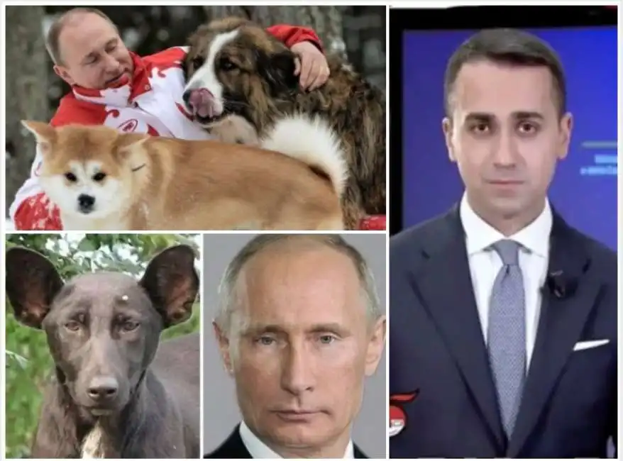 putin di maio animale