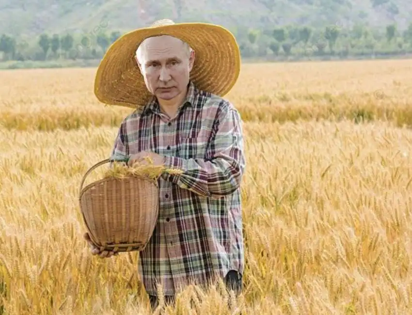 vladimir putin grano 