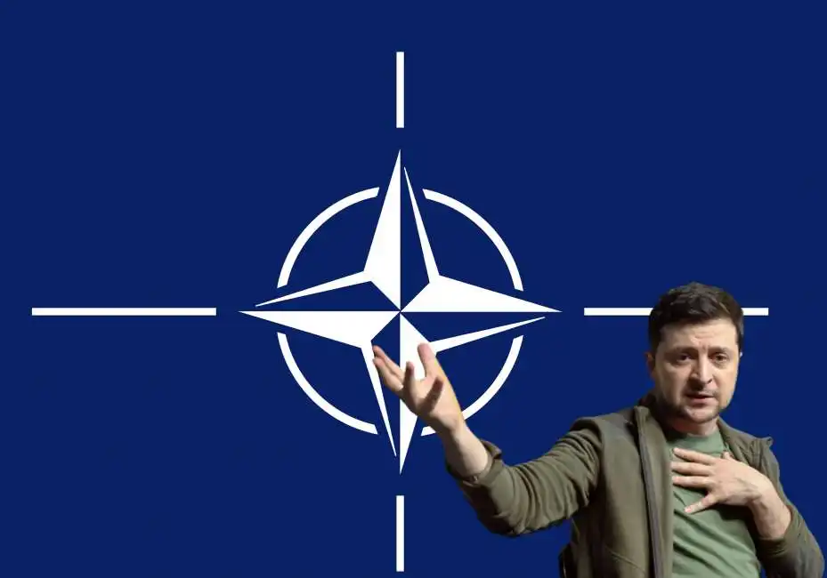 volodymyr zelensky ucraina nato 