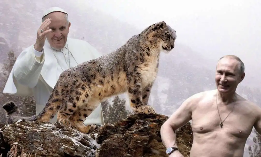 bergoglio papa francesco vladimir putin leopardo delle nevi 