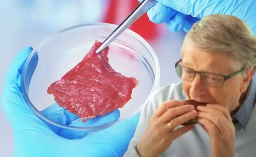 bill gates carne il laboratorio 