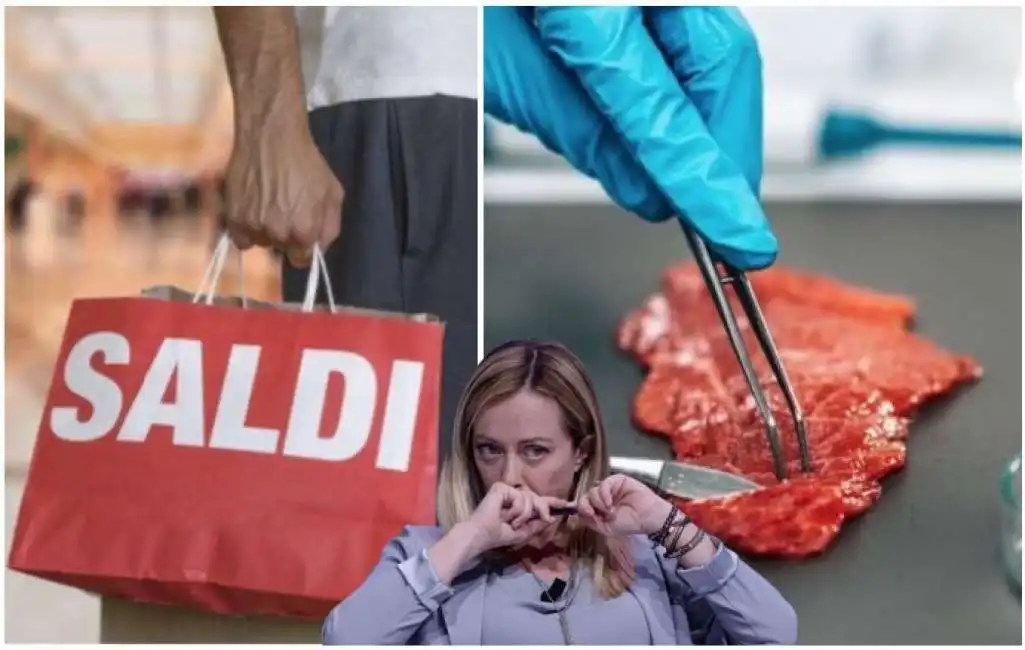 carne sintetica saldi meloni