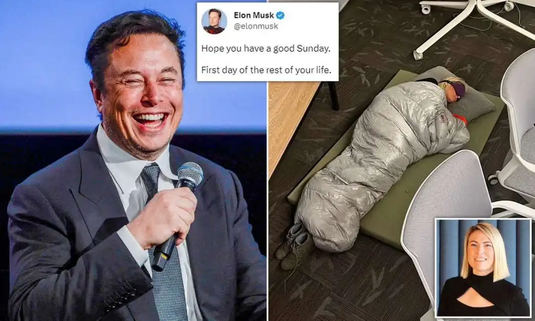 elon musk twitter esther crawford 