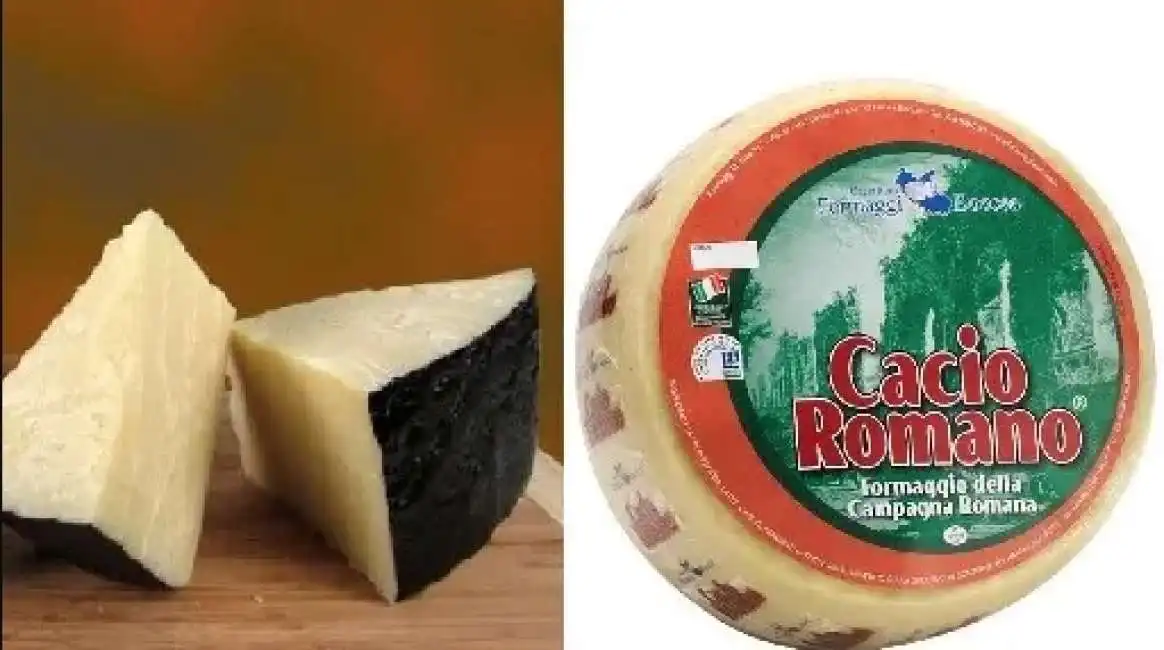 pecorino cacio romano 