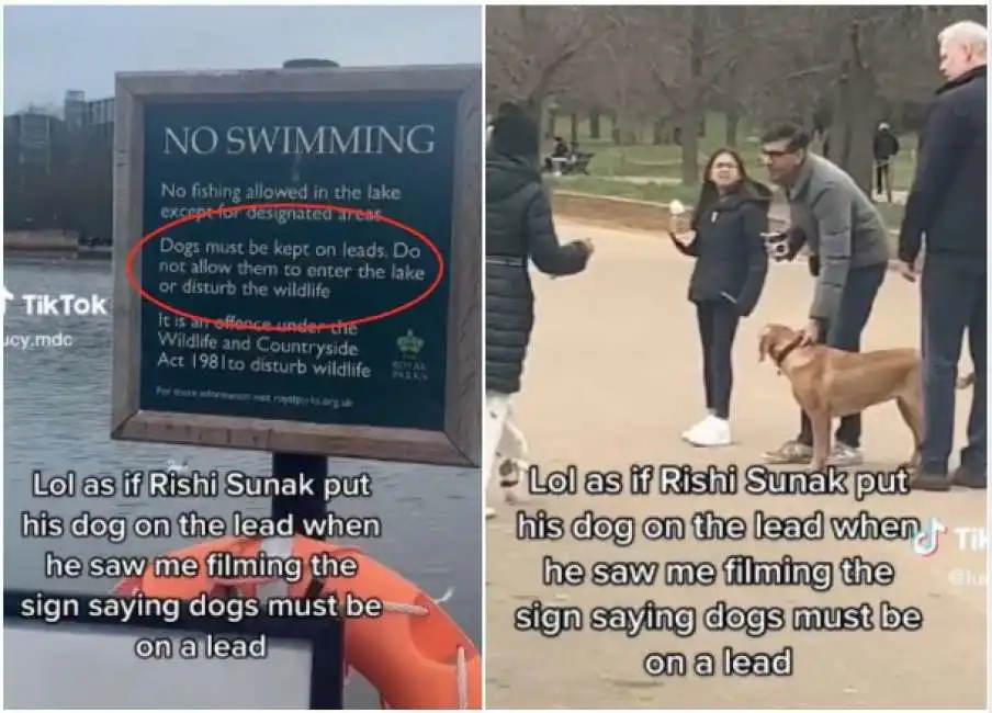 rishi sunak lascia il cane libero a hyde park