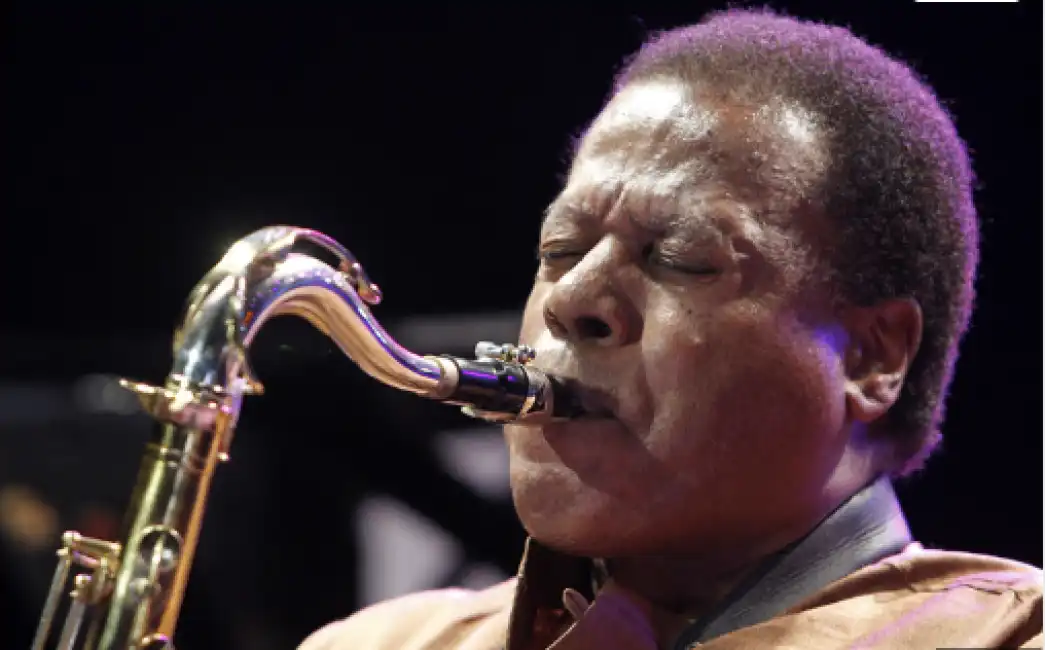 wayne shorter