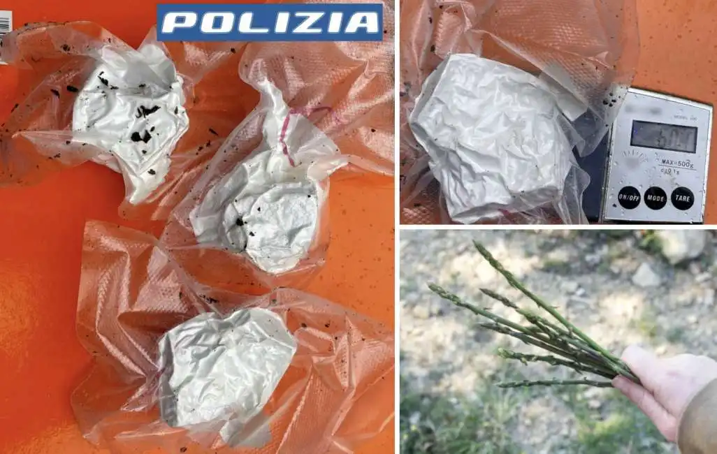 cocaina trovata a perugia - 1