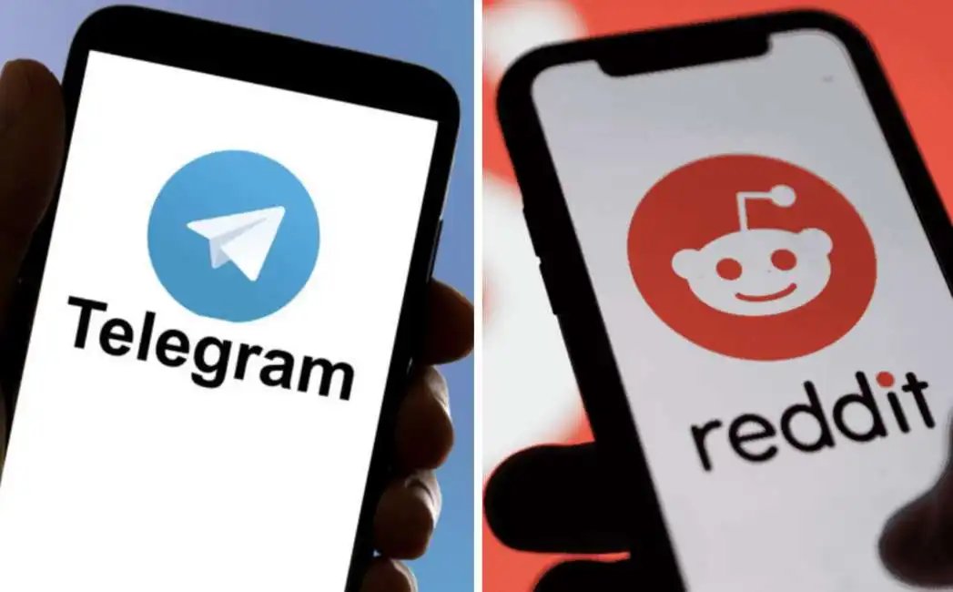 reddit telegram