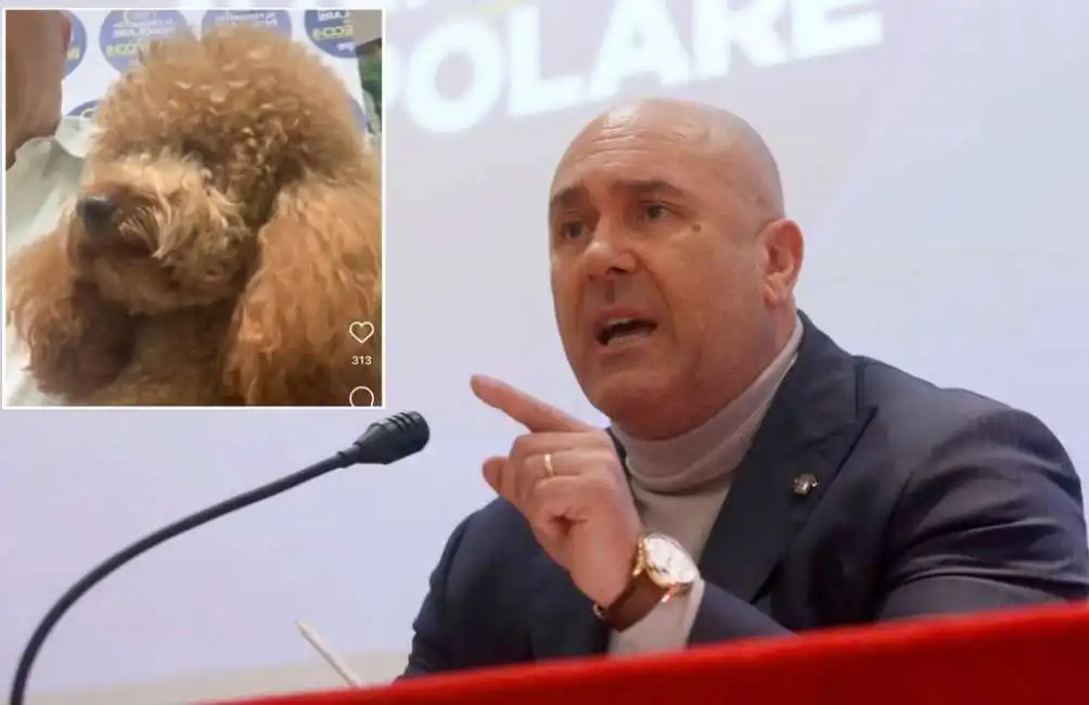 stefano bandecchi cane barboncino milo