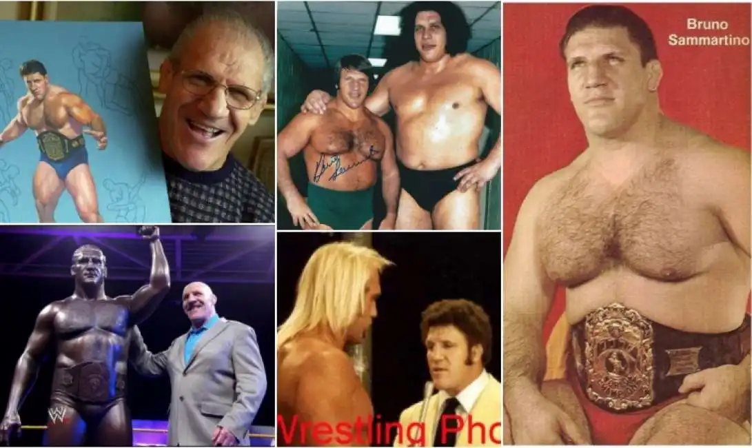 bruno sammartino 