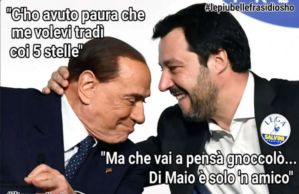 salvini berlusconi