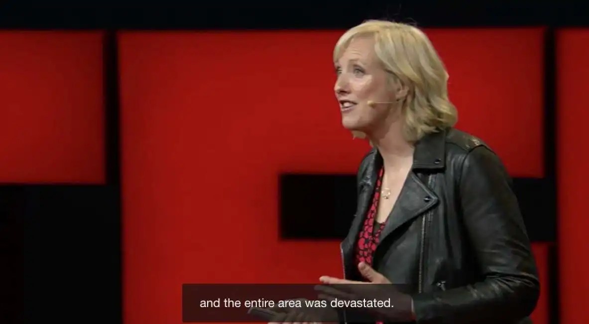 carole cadwalladr ted talk 2019 -4