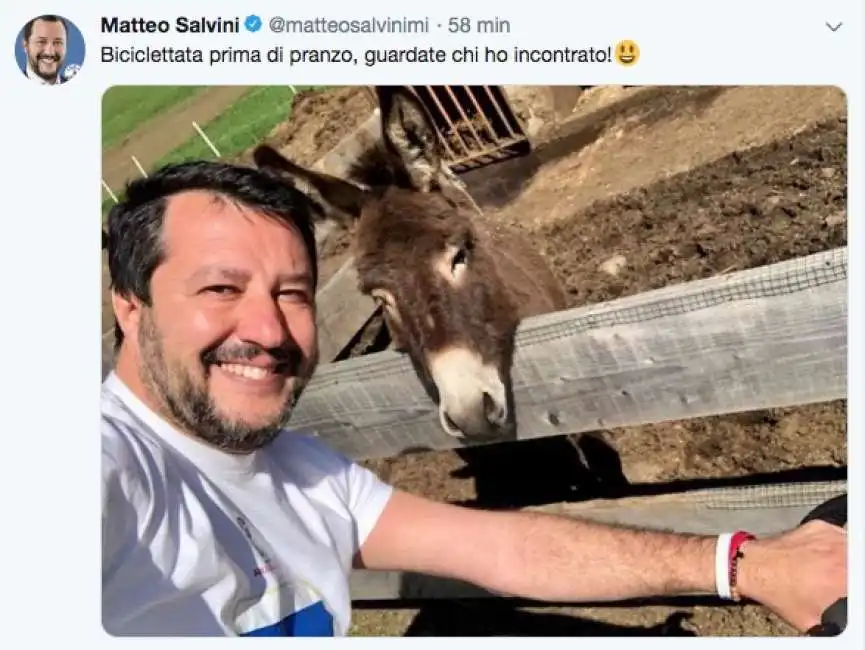 matteo salvini 