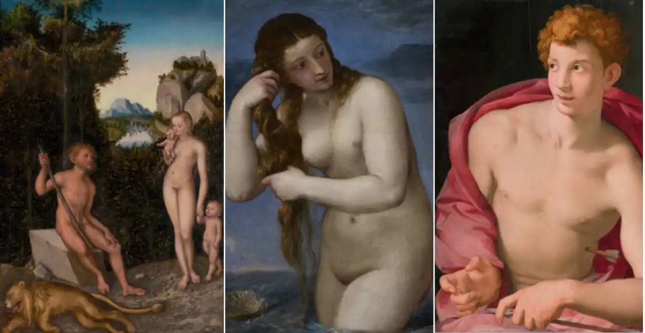 the renaissance nude