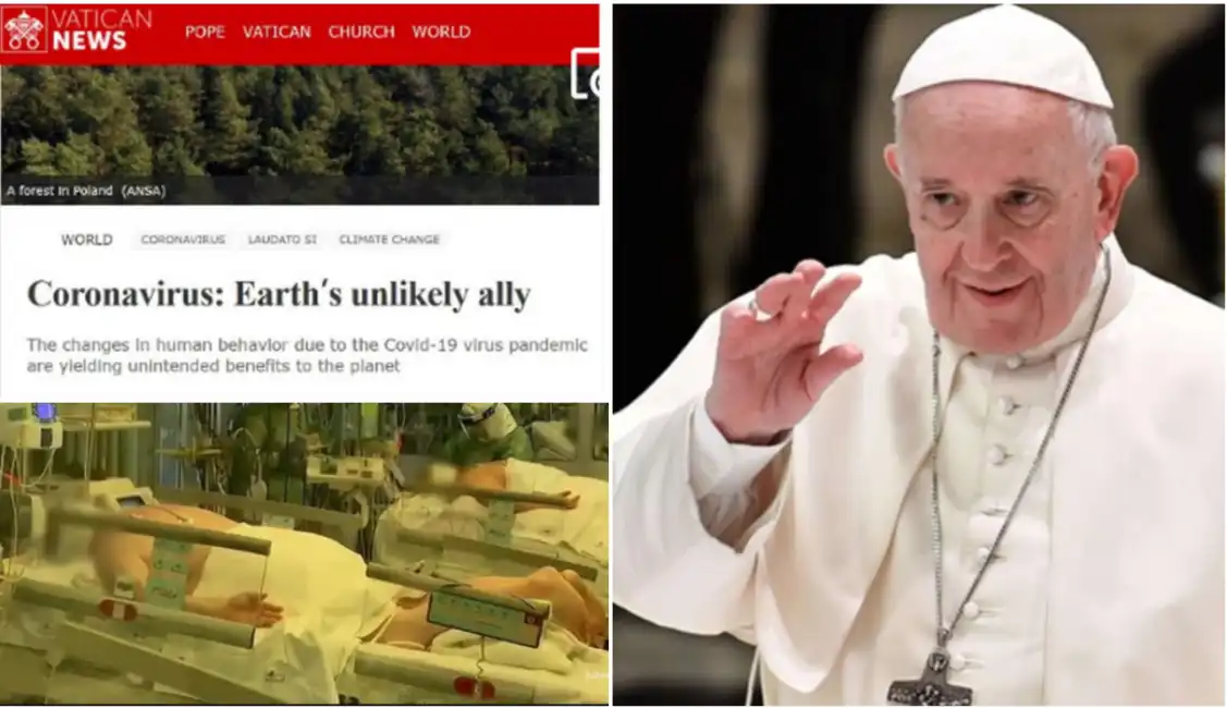 papa francesco e la tesi choc del gesuita ecologista