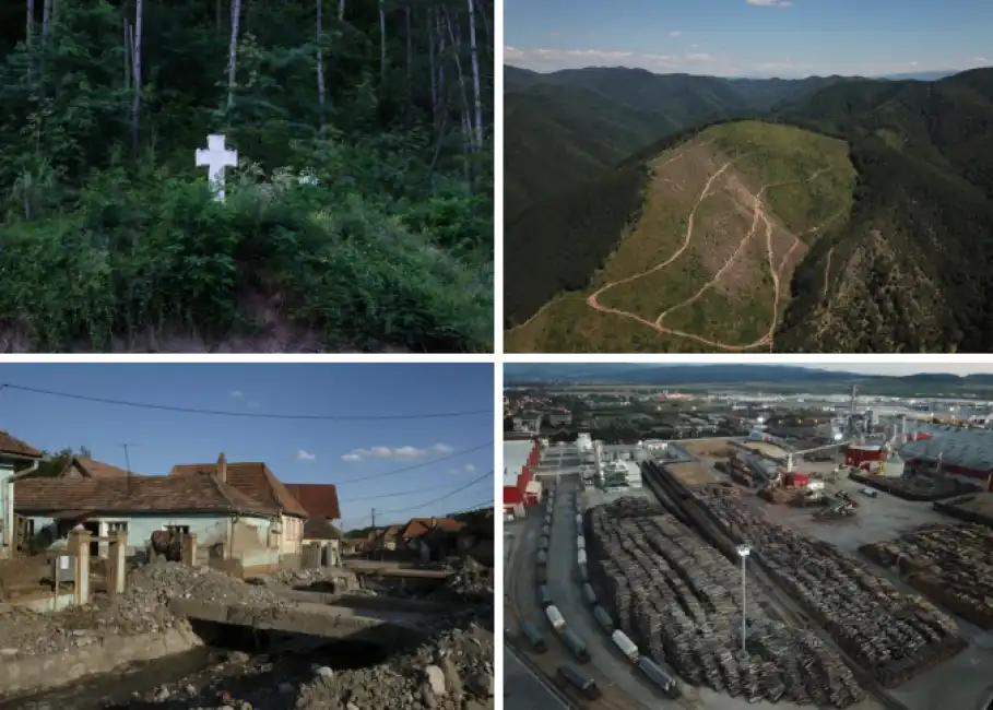 transilvania romania deforestazione disboscamento