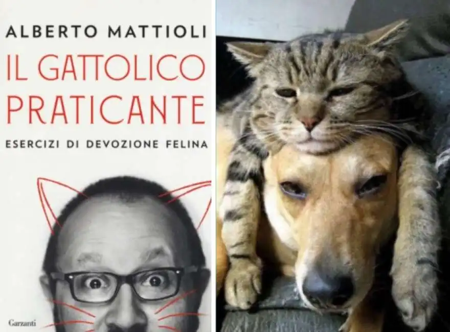 alberto mattioli gatto cane