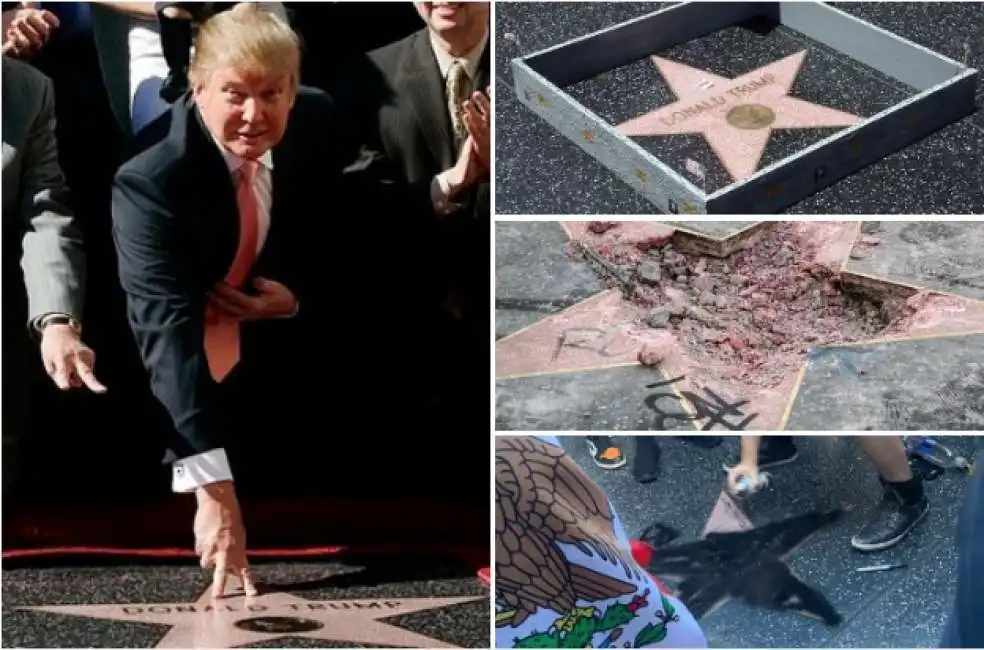 donald trump stella deturpata