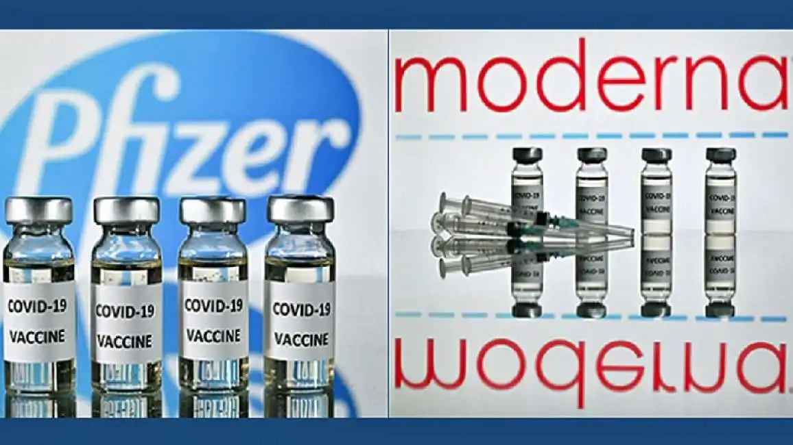 pfizer moderna