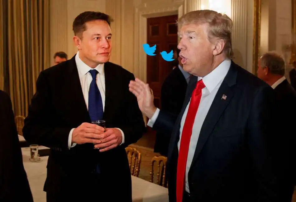 elon musk donald trump twitter 