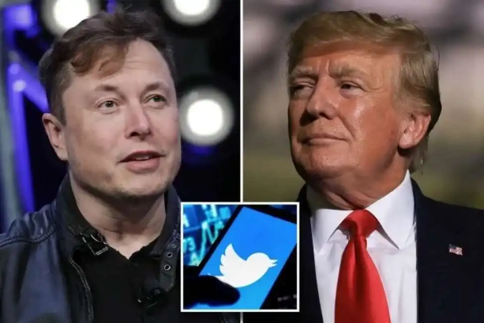 elon musk trump twitter