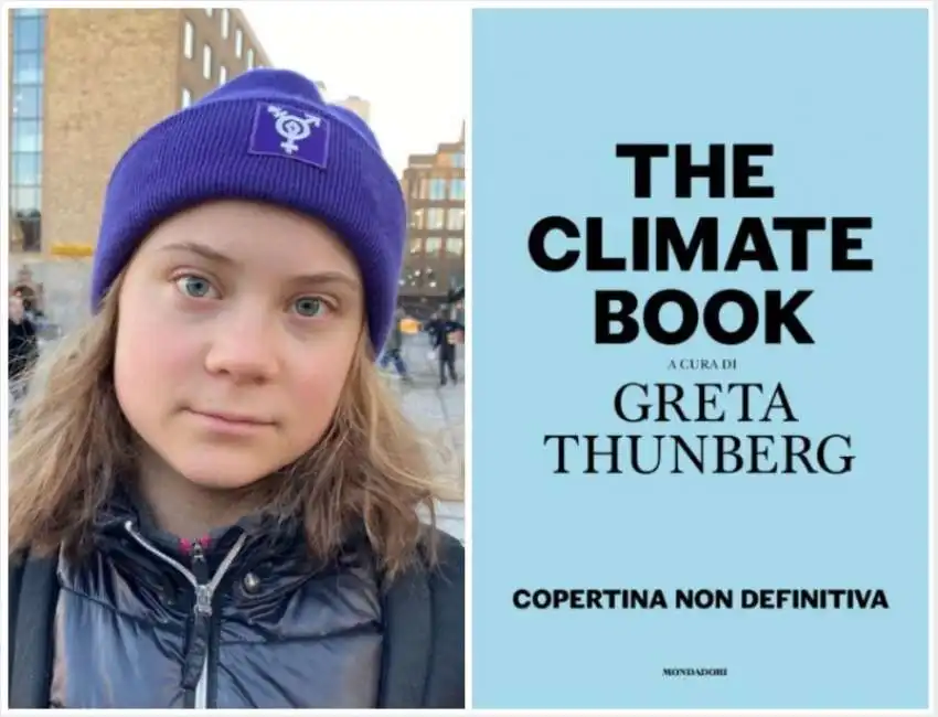 greta thunberg the climate book