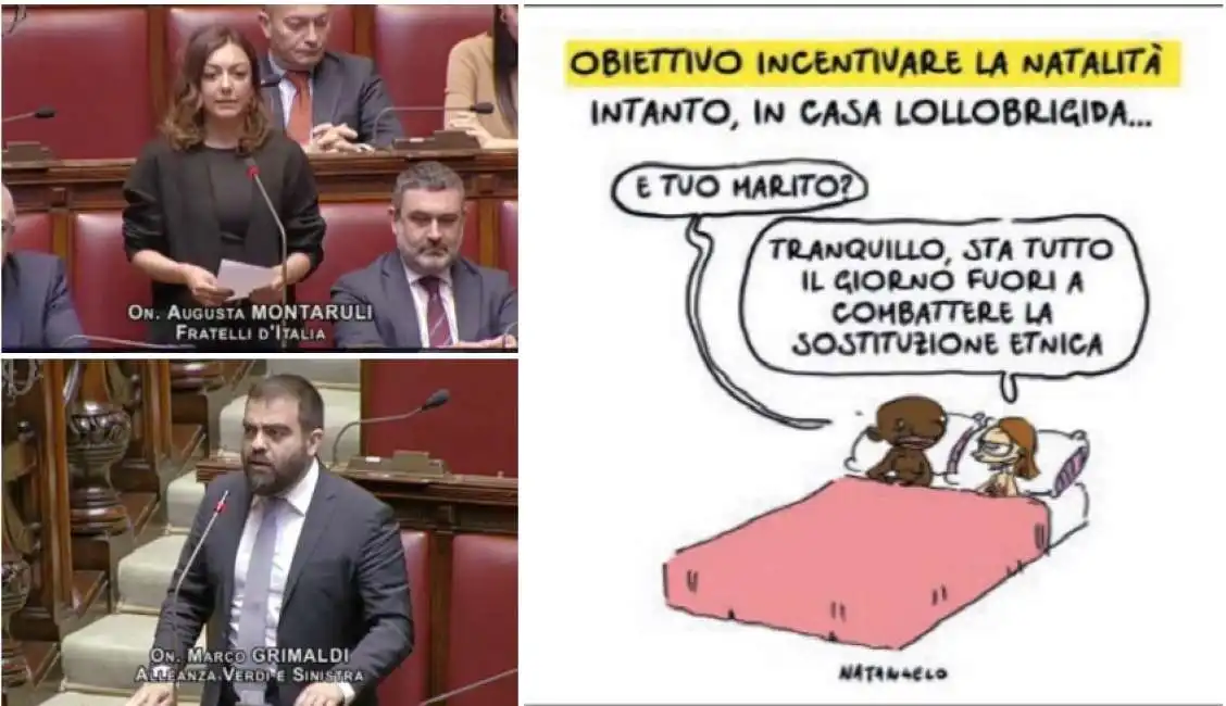 augusta montaruli vignetta fatto quotidiano arianna meloni francesco lollobrigida marco grimaldi 