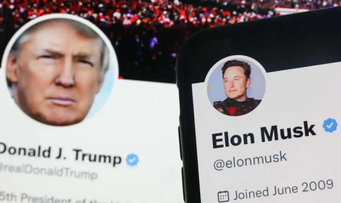 spunta blu donald trump elon musk