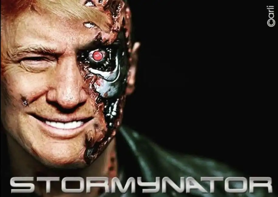 stormynator - meme by emiliano carli donald trump 