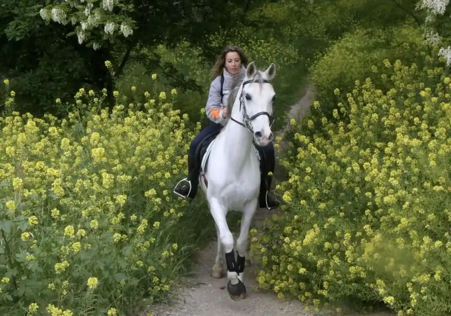 tabita gurioli cavallo cesena