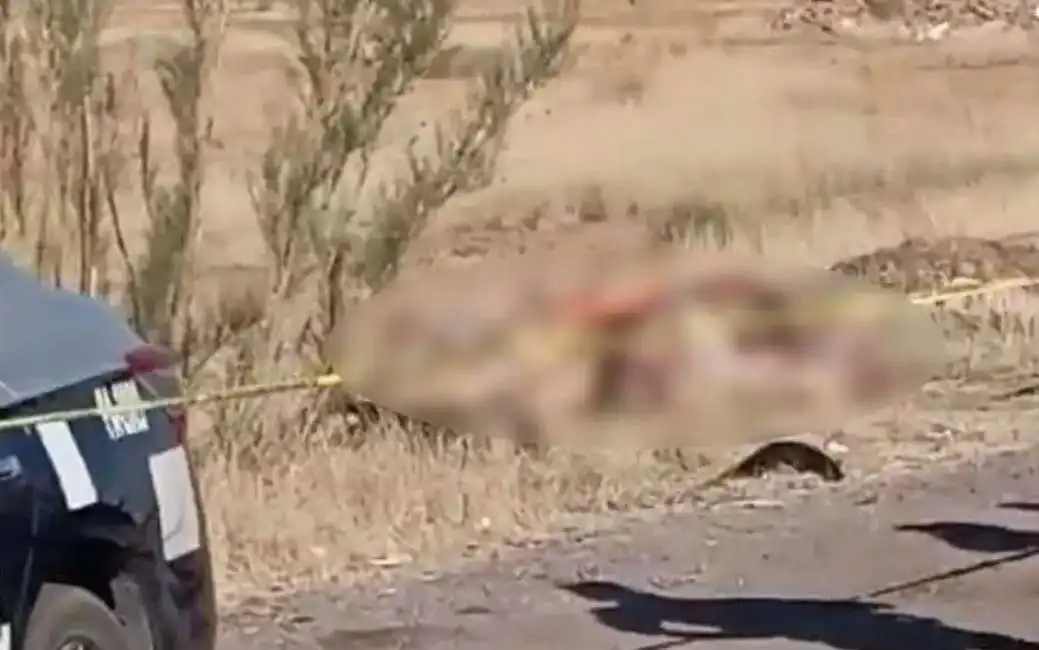 cadaveri trovati in autostrada messico juarez