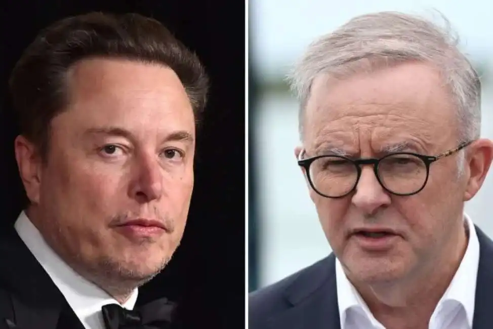 elon musk anthony albanese 