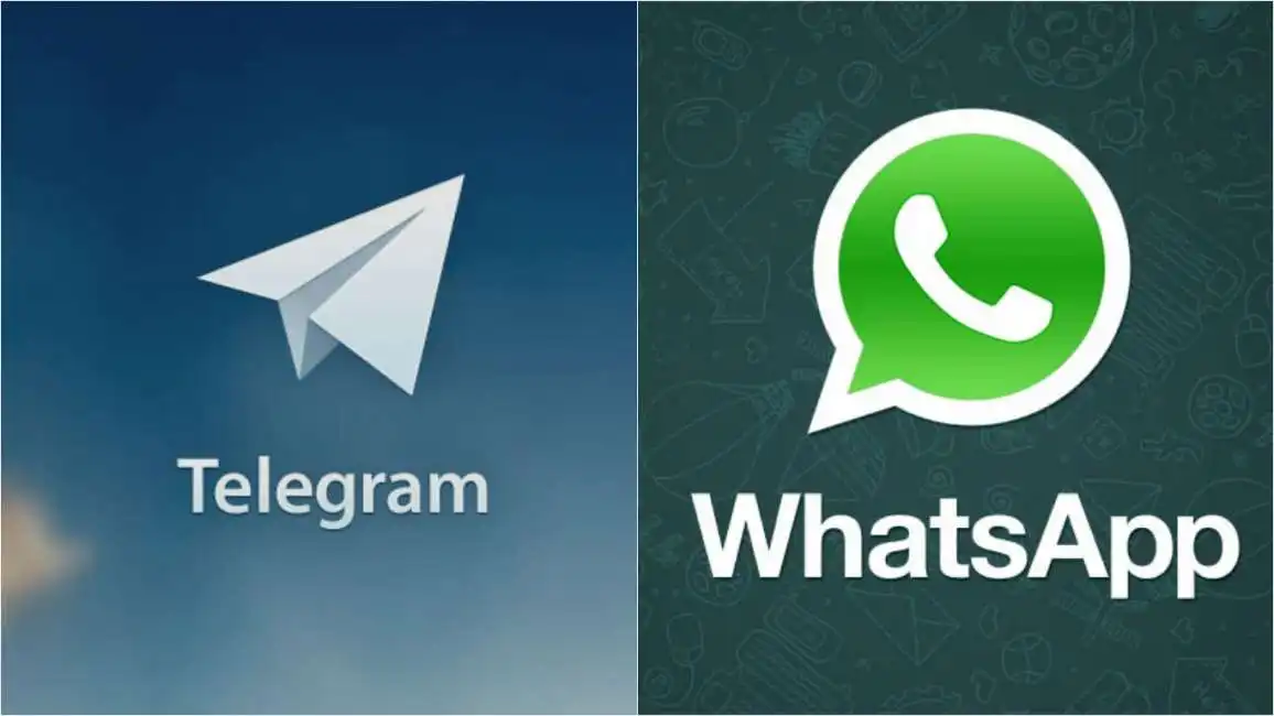 big whatsapp telegram