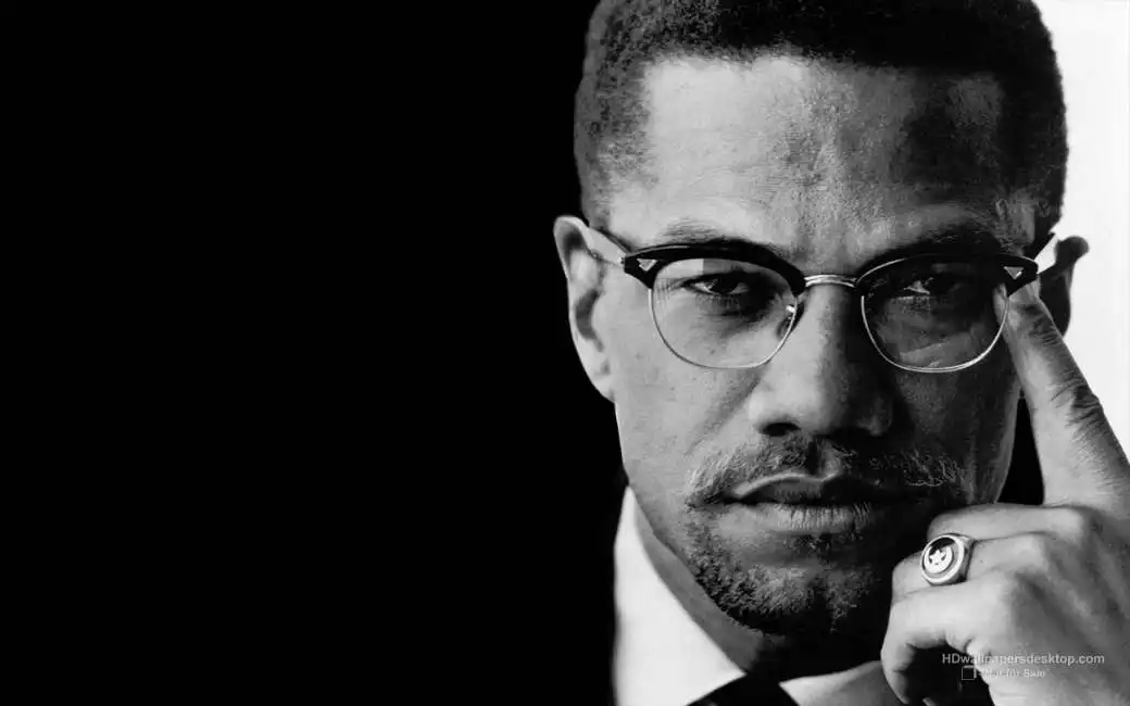 malcolm x 