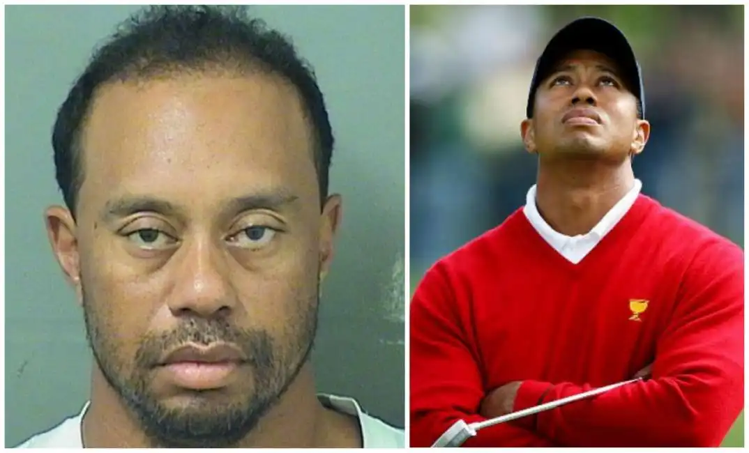 tiger woods