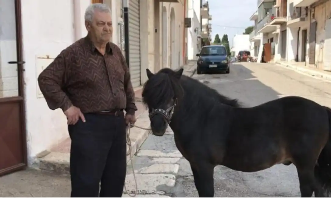 pony e il suo padrone