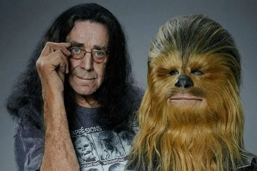 peter mayhew chewbecca