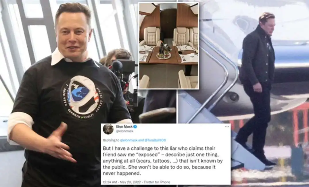 elon musk accuse molestie 