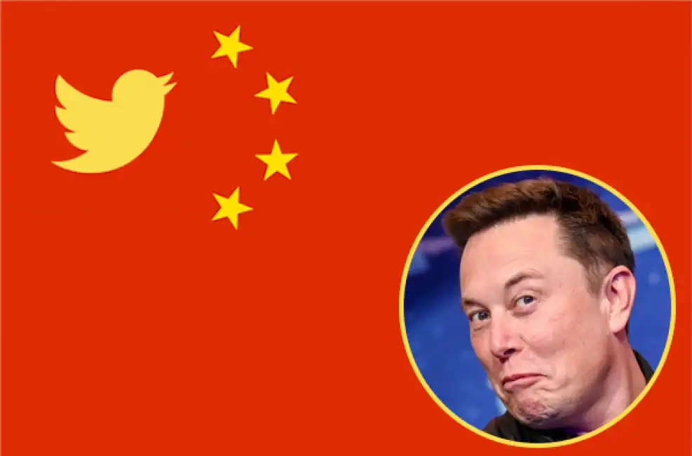 twitter cina elon musk 