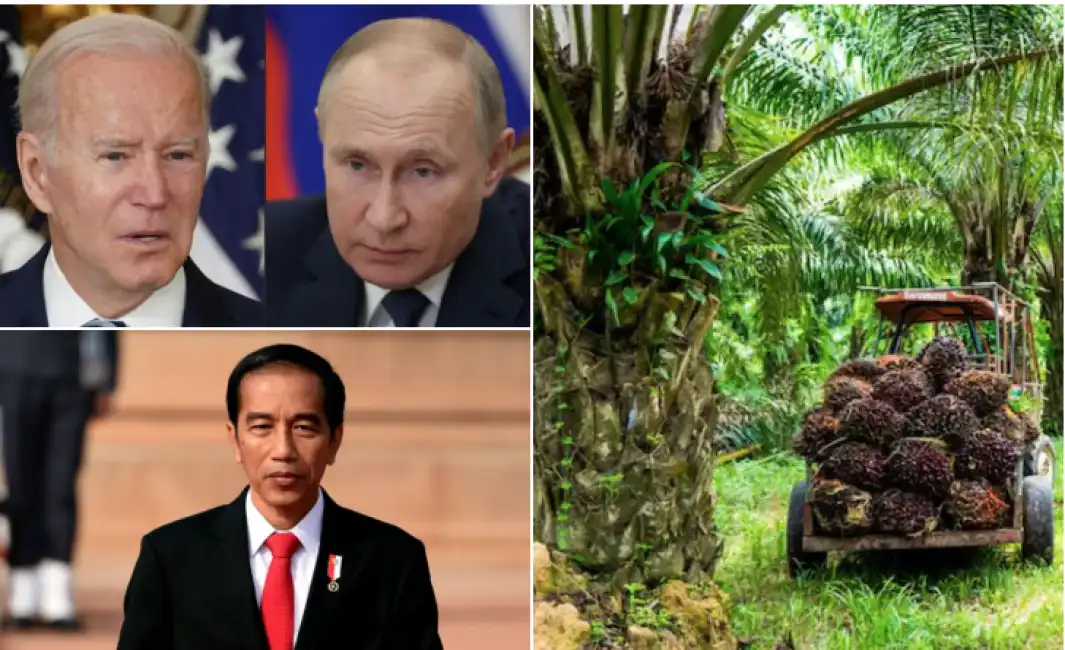 widodo putin biden