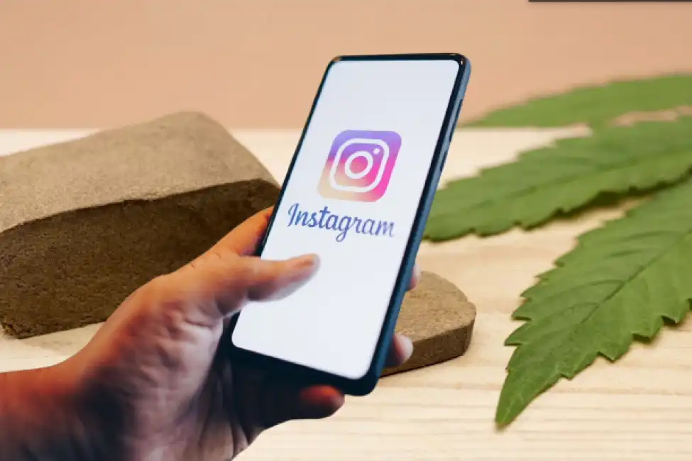 instagram marijuana hashish droga 