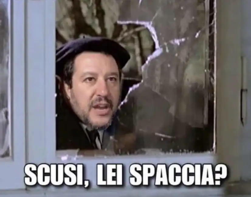 salvini