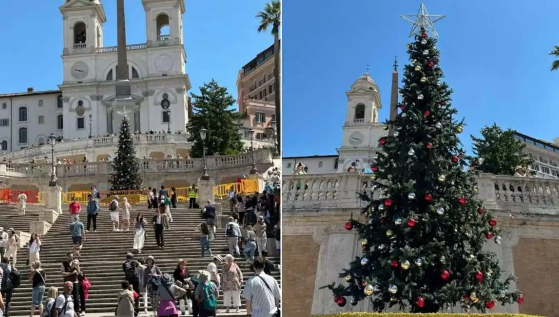 albero di natale piazza di spagna roma